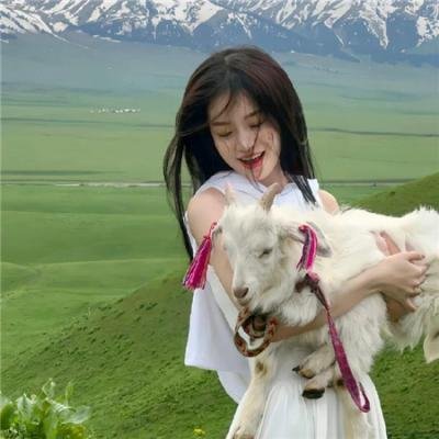 决战燕子门